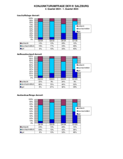 Konjunkturumfrage IV-Salzburg - 2. Quartal 2024 bis 1. Quartal 2025
